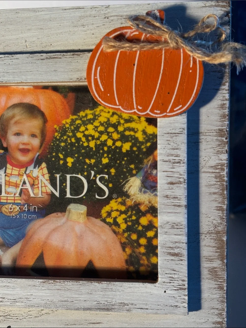 Kirkland’s Fall Pumpkin Picture Frame “Everyone Is Thankful For Me”4”x6” Rustic